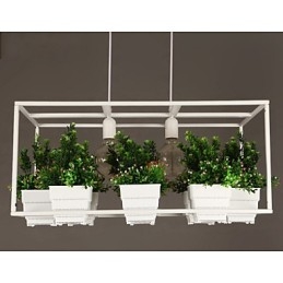 Modern Contemporary Decorative Design Pendant Light(Does Not Include Plants)
