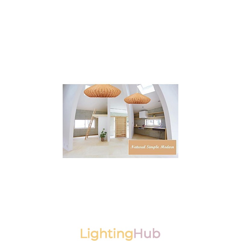 Modern Contemporary Country Metal Pendant Light