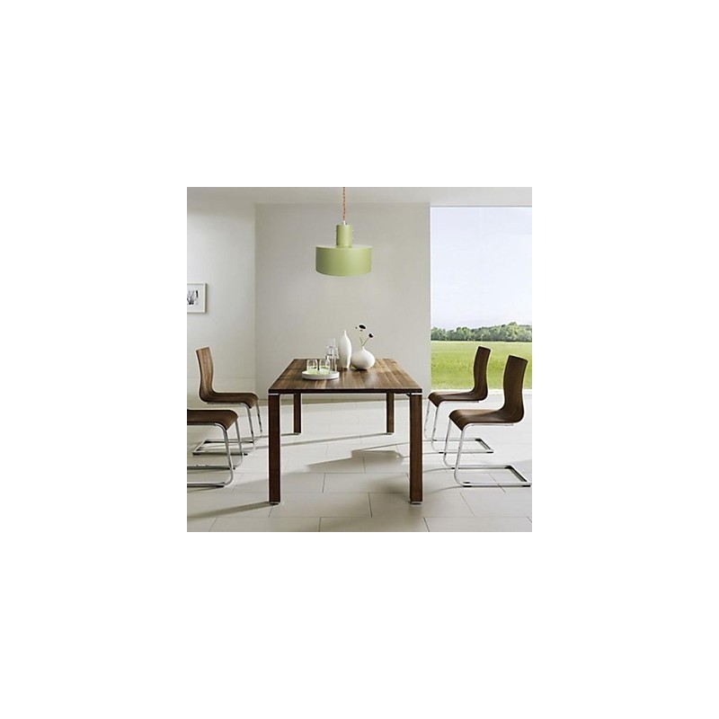 Modern Contemporary Country Mini Style Painting Metal Pendant Light Kids