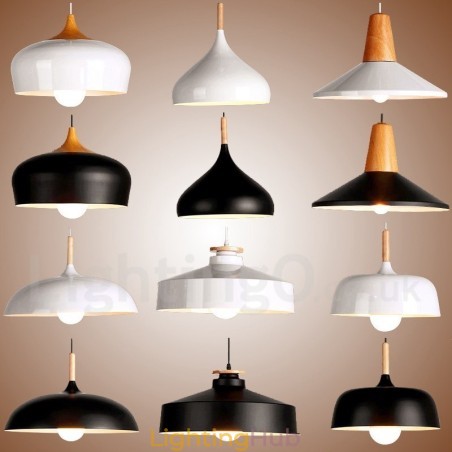 Modern Contemporary 1 Light Pendant Light Modern Contemporary 1 Light Pendant Light