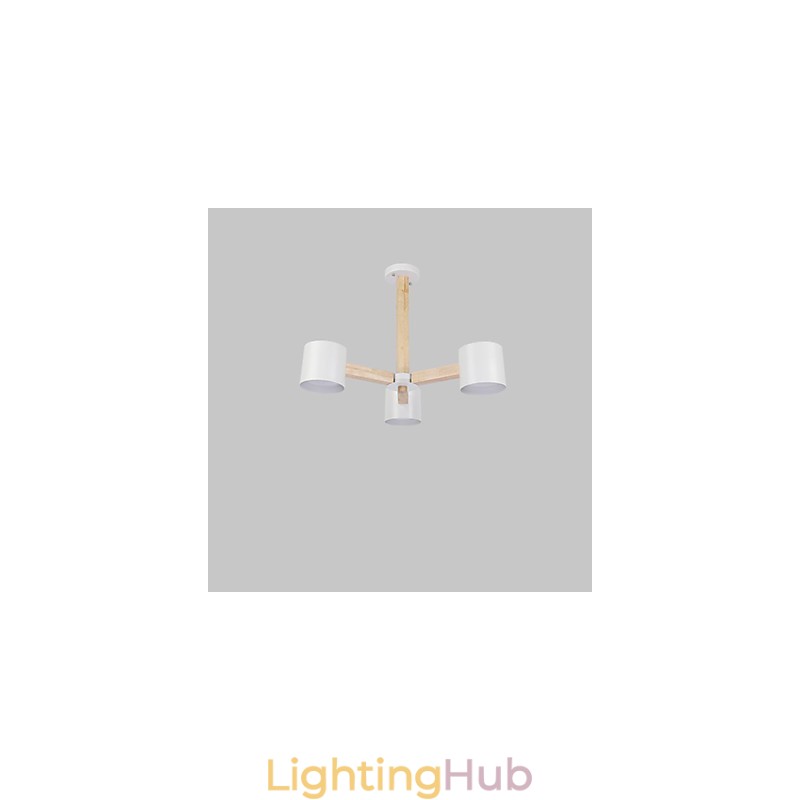 Vintage Painting Feature for Metal Chandelier