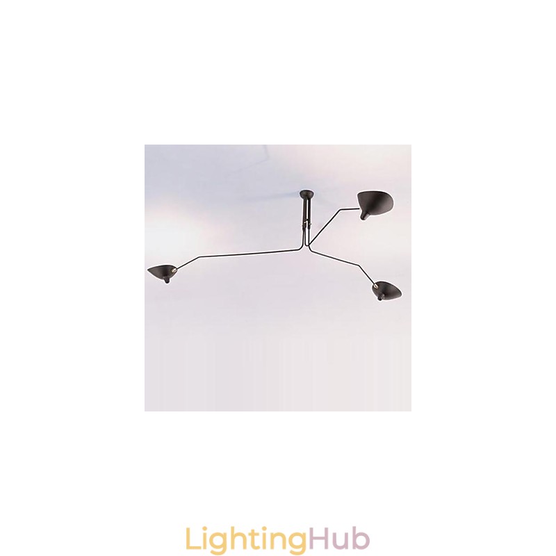 Modern Contemporary Painting Feature for Designers Metal Chandelier