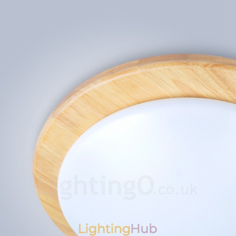 Modern Contemporary Flush Mount Ceiling Lights with Acrylic Shade
