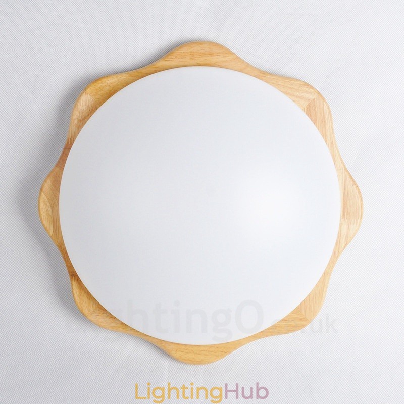 Modern Contemporary Flush Mount Ceiling Lights with Acrylic Shade