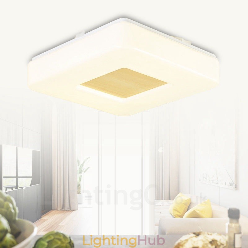 Modern Contemporary Flush Mount Ceiling Lights with Acrylic Shade
