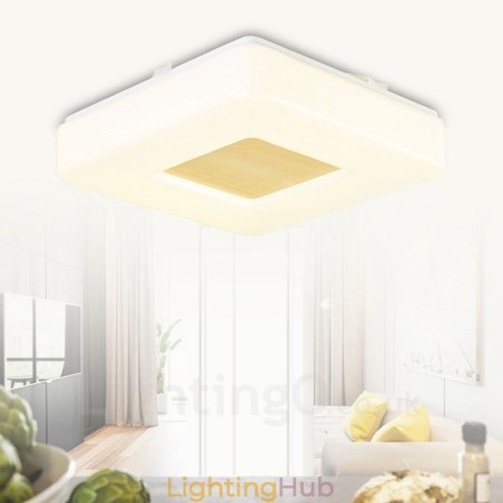 Modern Contemporary Flush Mount Ceiling Lights with Acrylic Shade Modern Contemporary Flush Mount Ceiling Lights with Acrylic Shade