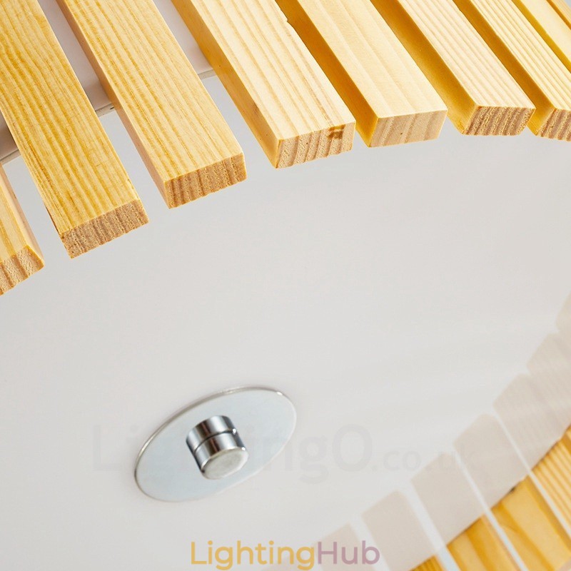 Modern Contemporary Flush Mount Ceiling Lights with Acrylic Shade