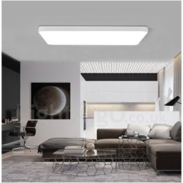 Dimmable Modern Contemporary Nordic Style Flush Mount Ceiling Lights with Acrylic Shade with Remote Control