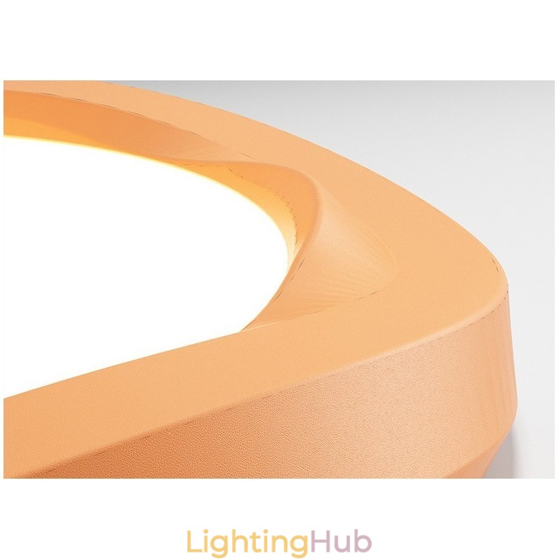 Dimmable Full Spectrum Eye Protection Multi Colours Modern Flush Mount Ceiling Light Indoor Lighting Fixtures