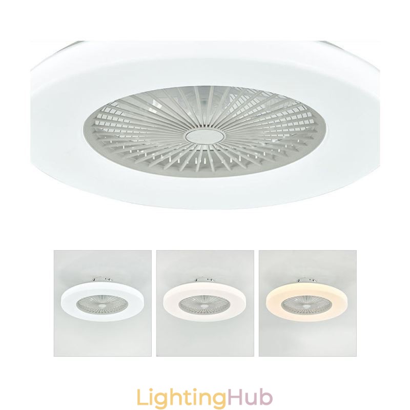 Fan Ceiling Light Trichromatic Dimming 3 Speed Remote Control