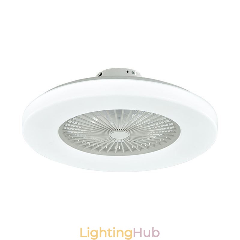 Fan Ceiling Light Trichromatic Dimming 3 Speed Remote Control