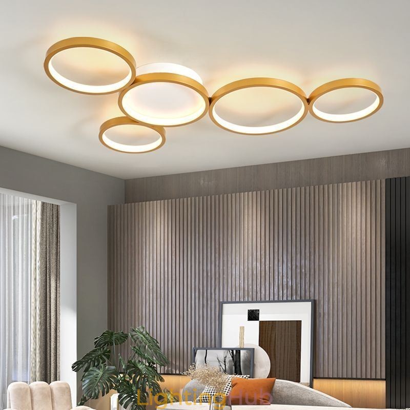 Modern Flush Mount Aluminum Art Ceiling Light