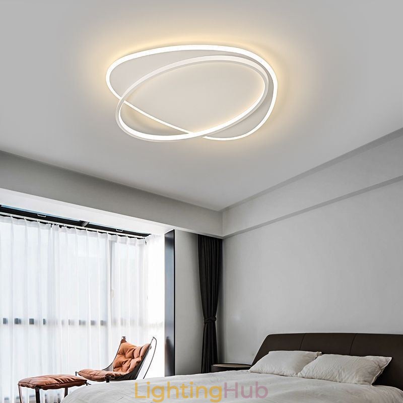 Modern Ceiling Lamp Oval Ceiling Light