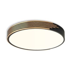 Modern Flush Mount Ceiling Light Circle Lighting Lamp