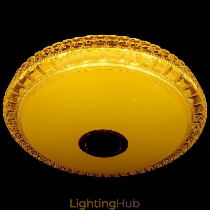 Flush Mount Ceiling Light Remote APP Control Bluetooth Music Speaker Light