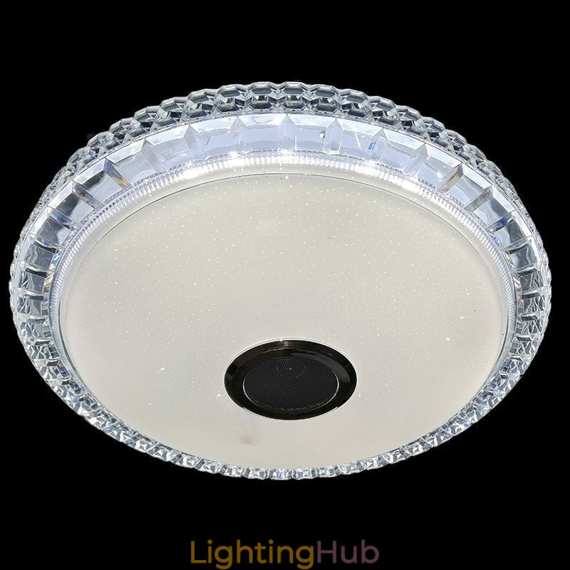 Flush Mount Ceiling Light Remote APP Control Bluetooth Music Speaker Light