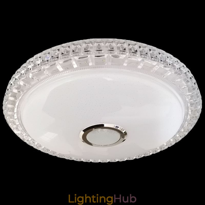 Flush Mount Ceiling Light Remote APP Control Bluetooth Music Speaker Light