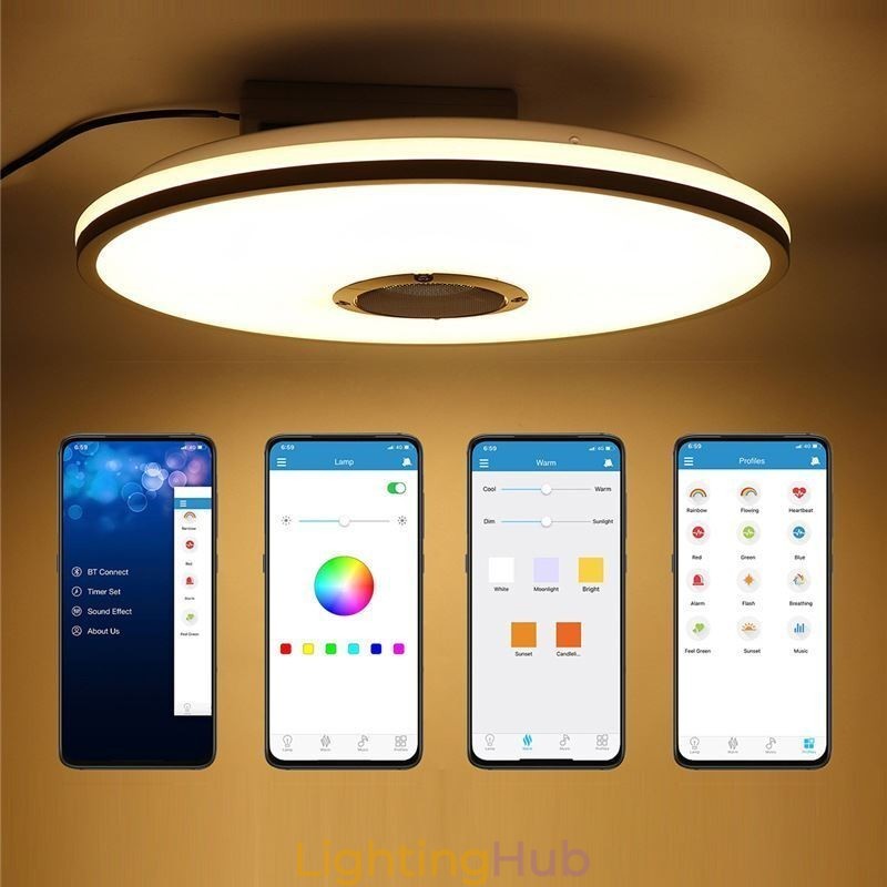 Flush Mount Colorful Ceiling Light with Bluetooth Music Speaker Timing Function