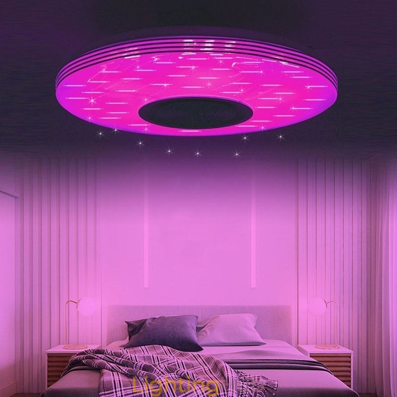 Flush Mount Ceiling Light Decorative Lamp Remote APP Control Bluetooth Music Speaker Lamp