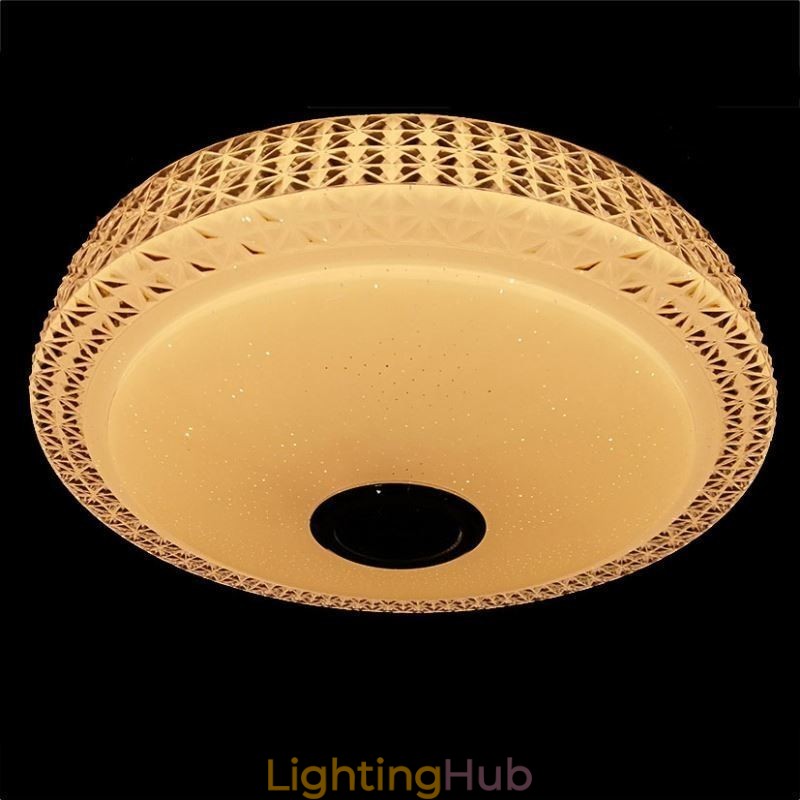 Ceiling Light Decorative Lamp Remote APP Control Bluetooth Music Speaker Flush Mount