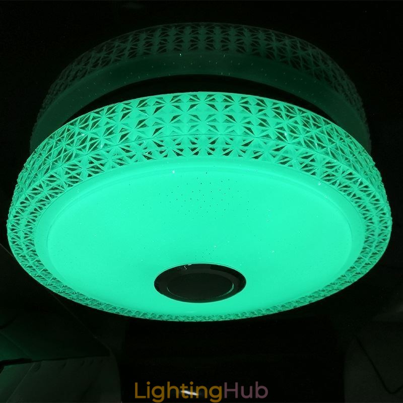 Ceiling Light Decorative Lamp Remote APP Control Bluetooth Music Speaker Flush Mount