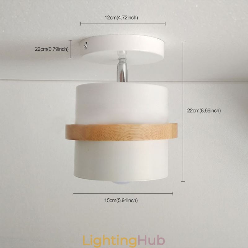 Round Macaron Spotlight Chromatic Ceiling Light(Single Light)