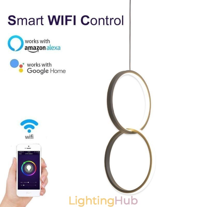 Mimimalist Double Ring Pendant Light