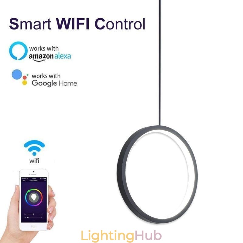 Minimalist Ring Pendant Light Decorative Ceiling Light
