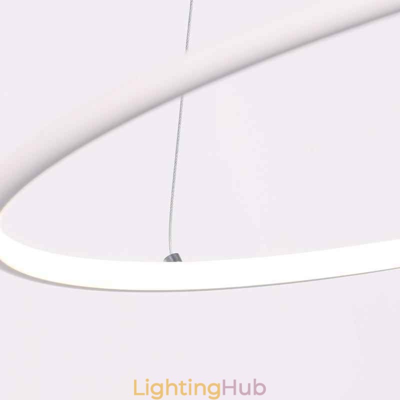 Modern Pendant Light Circle Lamp 60cm 80cm