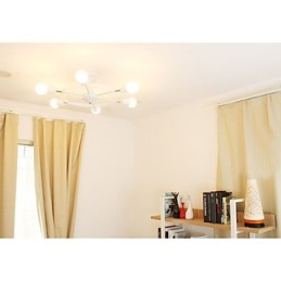 The Regulation Control Ceiling Lamps