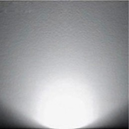 Multi Color Novelty Feature for Mini Style Ambient Light Wall Sconces Wall Light Lamp Rose Light