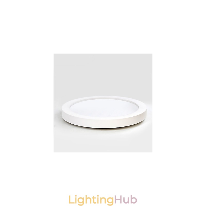 Modern Contemporary Decorative Design Ceiling Light