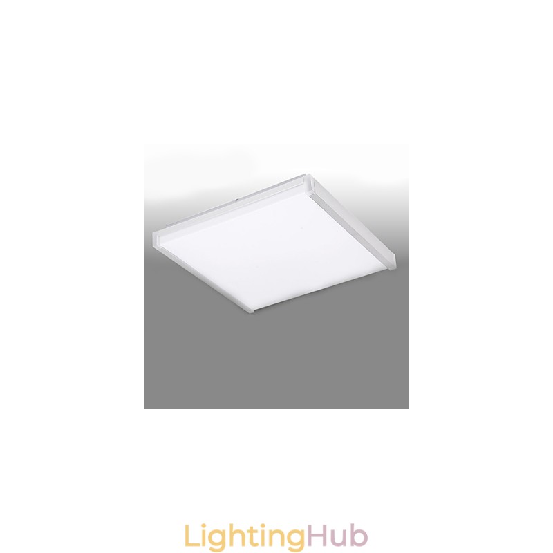 Modern Contemporary Decorative Design Ceiling Light