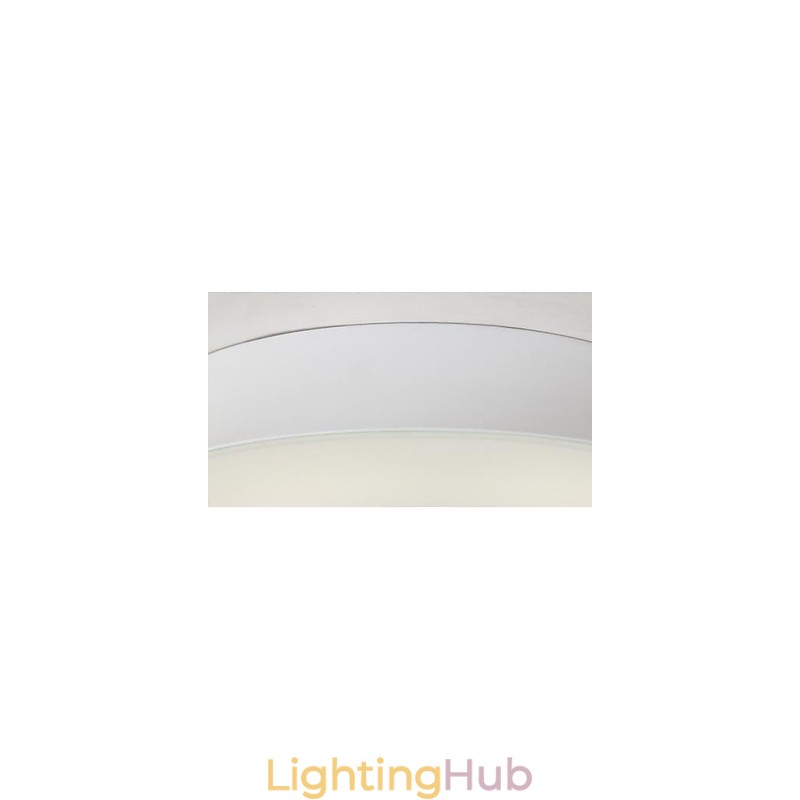 Modern Contemporary Painting Metal Flush Mount