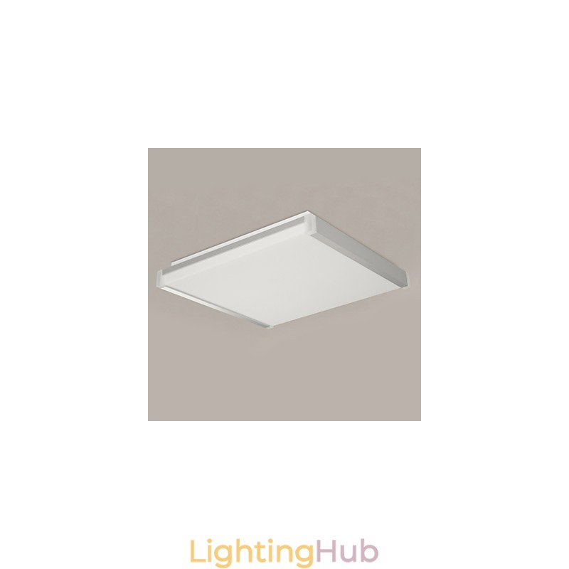 Modern Contemporary Decorative Design Ceiling Light