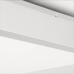 Modern Contemporary Decorative Design Ceiling Light