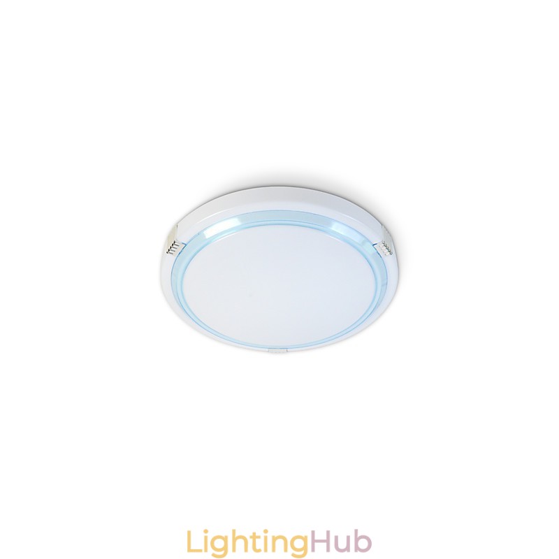 Europe Type Style Contemporary And Contracted Fashion To Absorb Dome Light Chip Lamp
