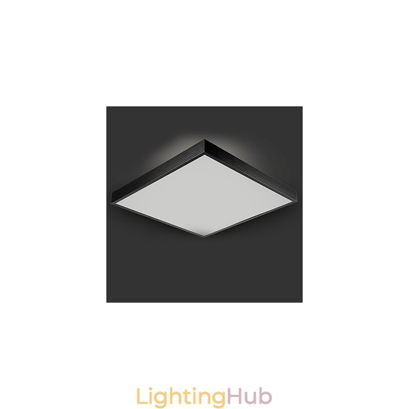 Modern Contemporary Decorative Design Ceiling Light