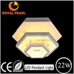 Modern Light Ceiling Light 22W