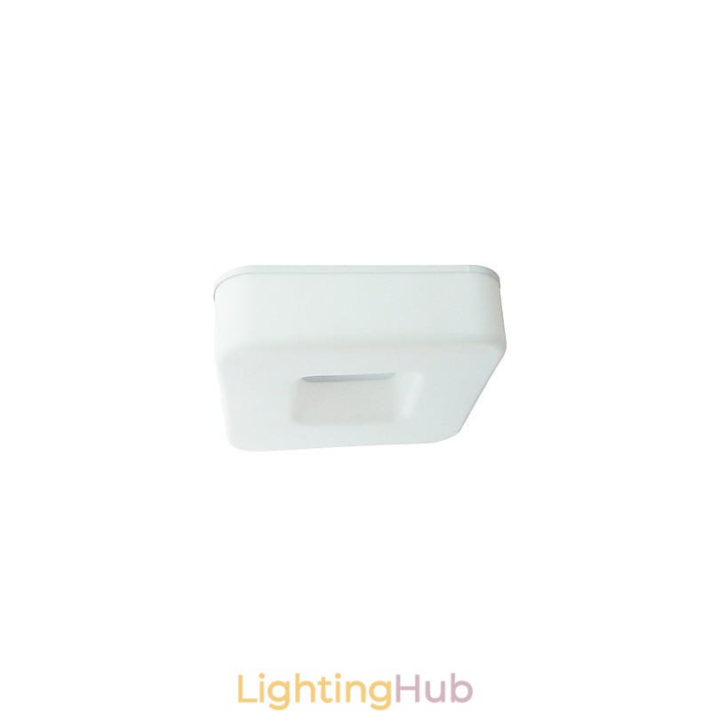 Modern Contemporary Others Flush Mount
