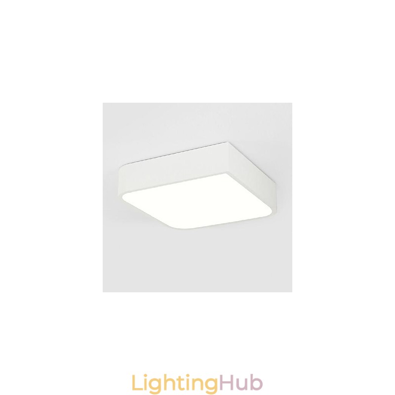 Modern Contemporary Painting Metal Flush Mount Light